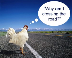 Question: Why did the chicken cross the road?