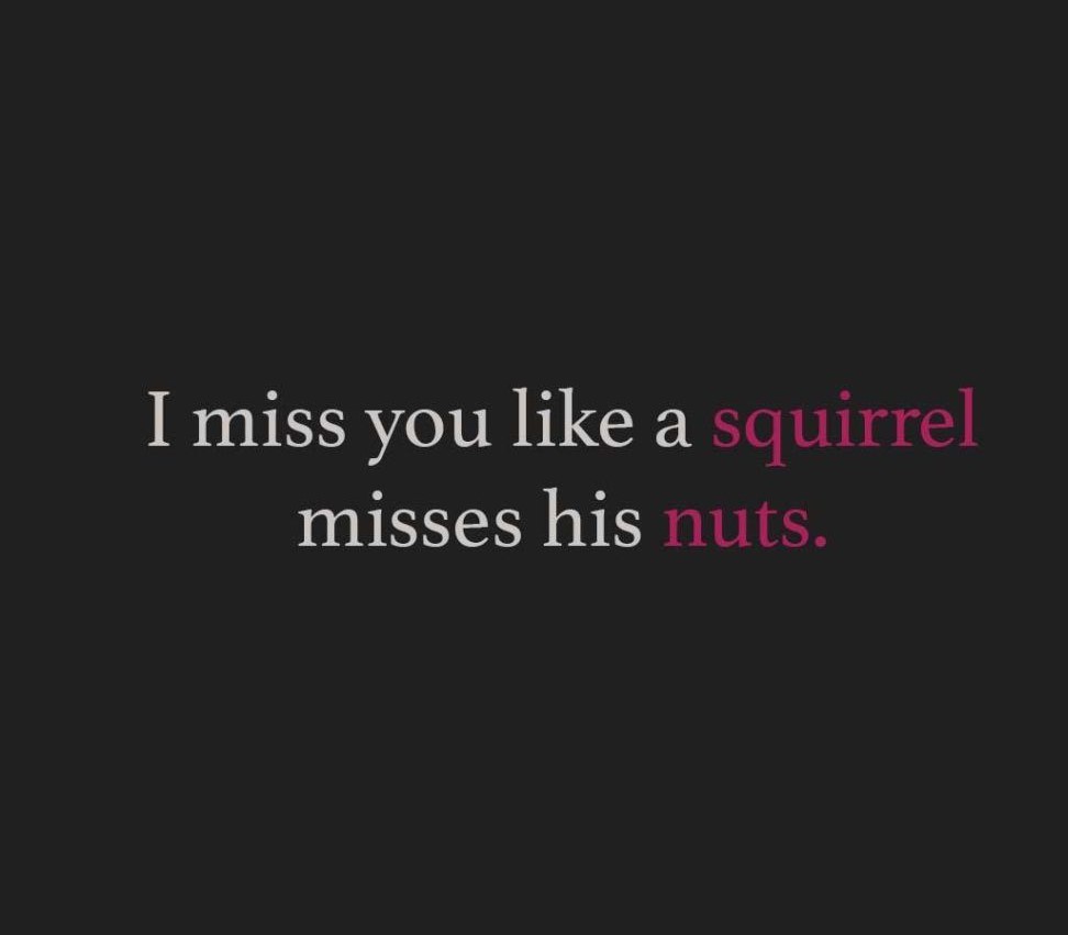 funny i miss you like a squirrel misses his nuts