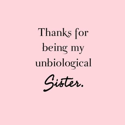 funny sister in law quotes