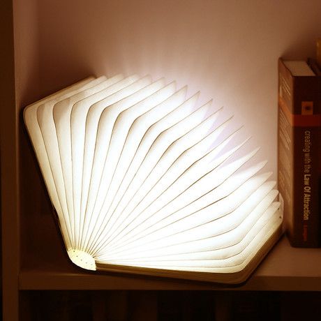 14. Booklit Lamp