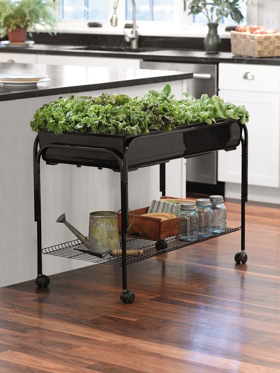 Indoor Gardener